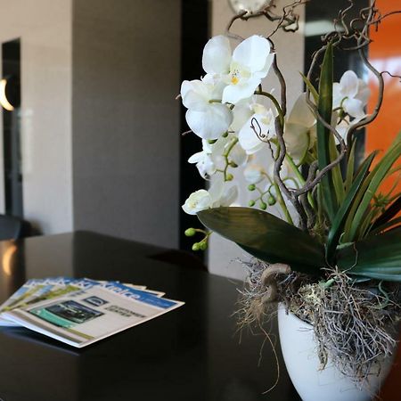 Hotel Dyminy Κίελτσε Εξωτερικό φωτογραφία